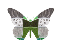 A little green butterfly.
